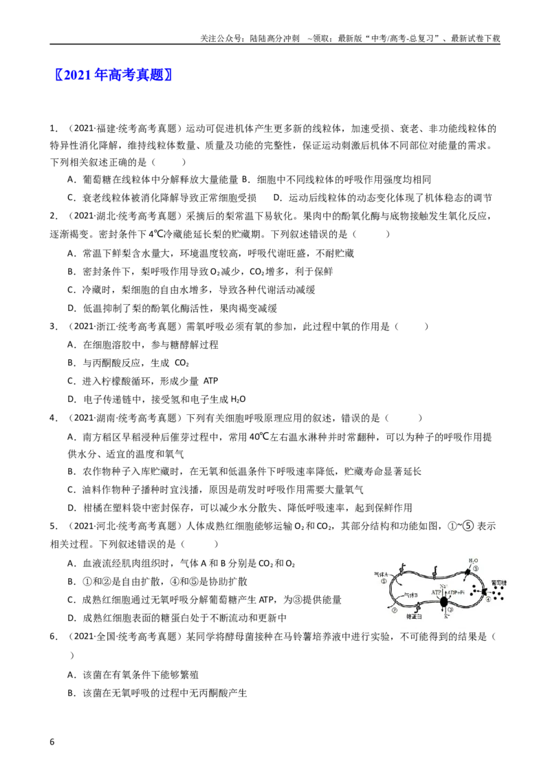 《专题05细胞呼吸（学生版）_06-生物-高考总复习_专项复习_2024年_十年（2014-2023）高考生物真题分项汇编（全国通用）》第6页预览