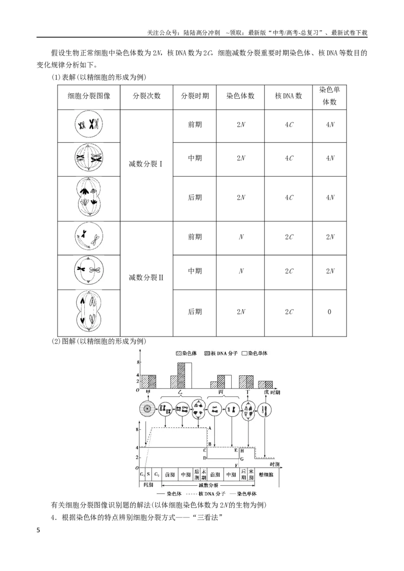 《专题04细胞分裂与生命历程（解析版）_06-生物-高考总复习_二轮复习_2024年_2024年高考生物二轮复习考点归纳与解题策略新高考_资料》第5页预览