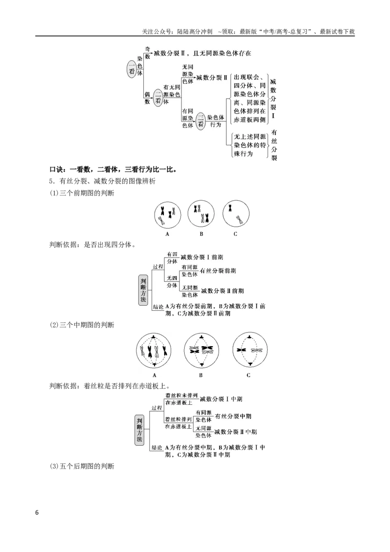 《专题04细胞分裂与生命历程（解析版）_06-生物-高考总复习_二轮复习_2024年_2024年高考生物二轮复习考点归纳与解题策略新高考_资料》第6页预览