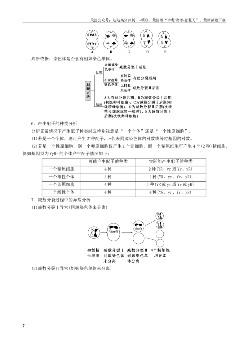 《专题04细胞分裂与生命历程（解析版）_06-生物-高考总复习_二轮复习_2024年_2024年高考生物二轮复习考点归纳与解题策略新高考_资料》第7页预览