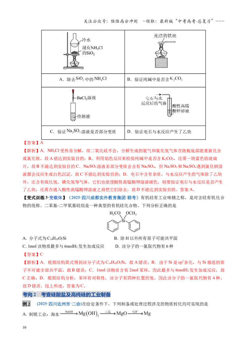 《第04讲碳、硅及无机非金属材料（复习讲义）（四川专用）（教师版）_05-化学-高考总复习_一轮复习_2026年-化学高考一轮复习_2026年高考化学一轮课件+讲义+练习（四川专用）-G335》第10页预览