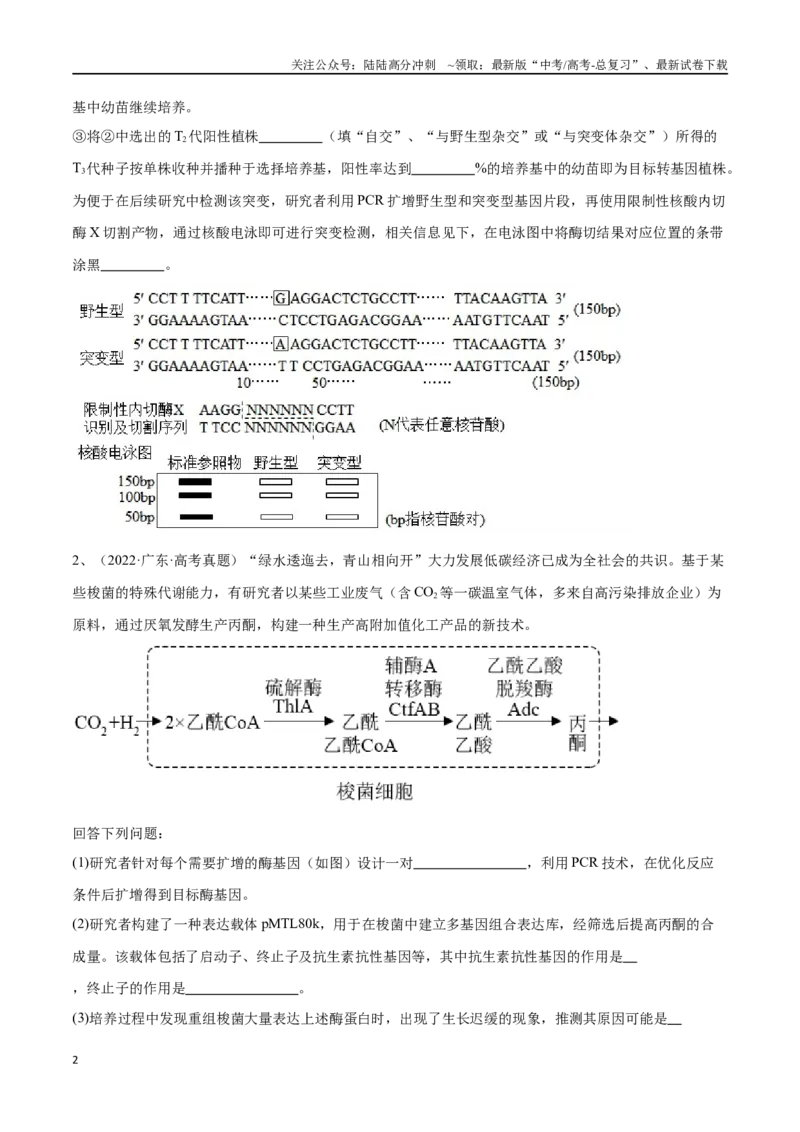 《专题05基因工程（广东卷）（原卷版）_06-生物-高考总复习_专项复习_2024年_2024年高考生物考前大题秒杀技巧及专项训练_资料》第2页预览