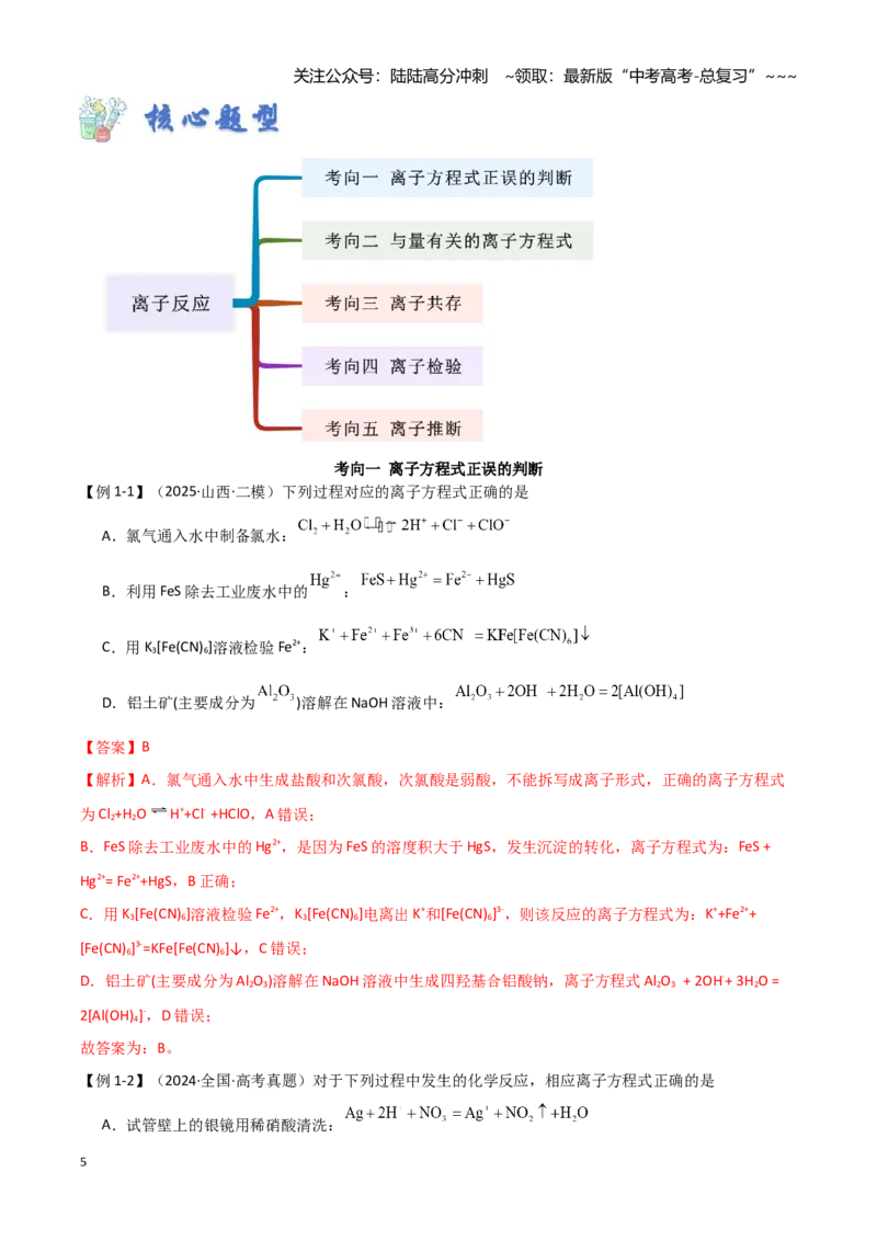 《第02讲离子反应-（新高考专用）（教师版）_05-化学-高考总复习_一轮复习_2026年-化学高考一轮复习_2026年新高考化学一轮复习（新高考专用）-G413_资料》第5页预览