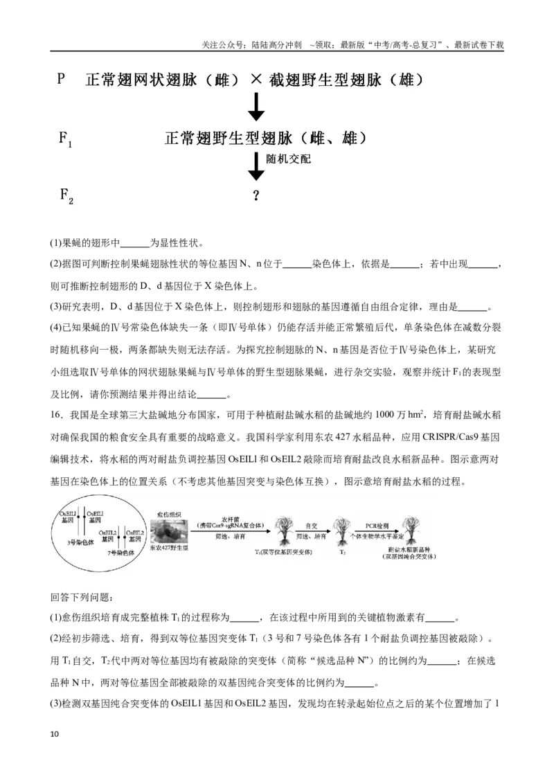 《专题02遗传推理与实验设计（大题30道）（原卷版）_06-生物-高考总复习_二轮复习_2024年_2024年高考生物二轮复习选择题大题压轴专项训练_资料》第10页预览