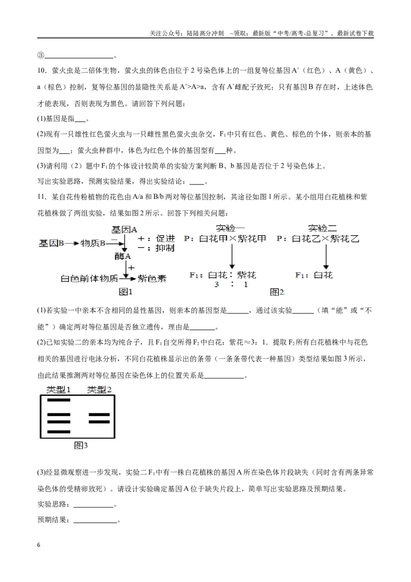 《专题02遗传推理与实验设计（大题30道）（原卷版）_06-生物-高考总复习_二轮复习_2024年_2024年高考生物二轮复习选择题大题压轴专项训练_资料》第6页预览