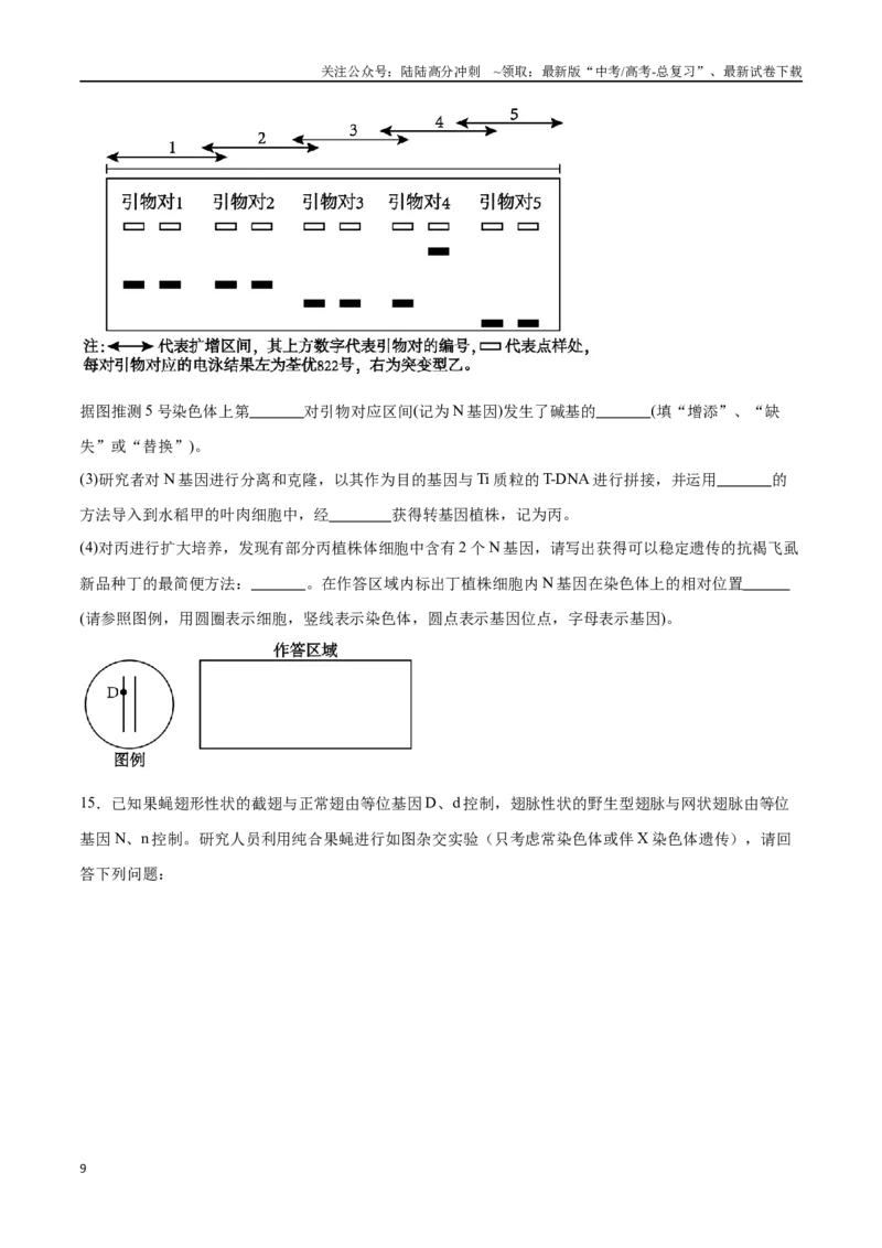 《专题02遗传推理与实验设计（大题30道）（原卷版）_06-生物-高考总复习_二轮复习_2024年_2024年高考生物二轮复习选择题大题压轴专项训练_资料》第9页预览