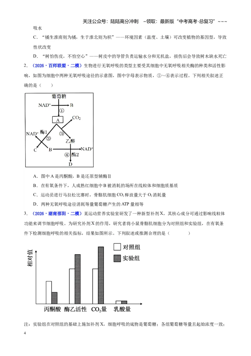 《专题02细胞的能量供应和利用（学生版）_06-生物-高考总复习_专项复习_2026年-生物高考专项复习_2026年高考生物二模试题分类汇编（湖南专用）-G292_2026版》第4页预览