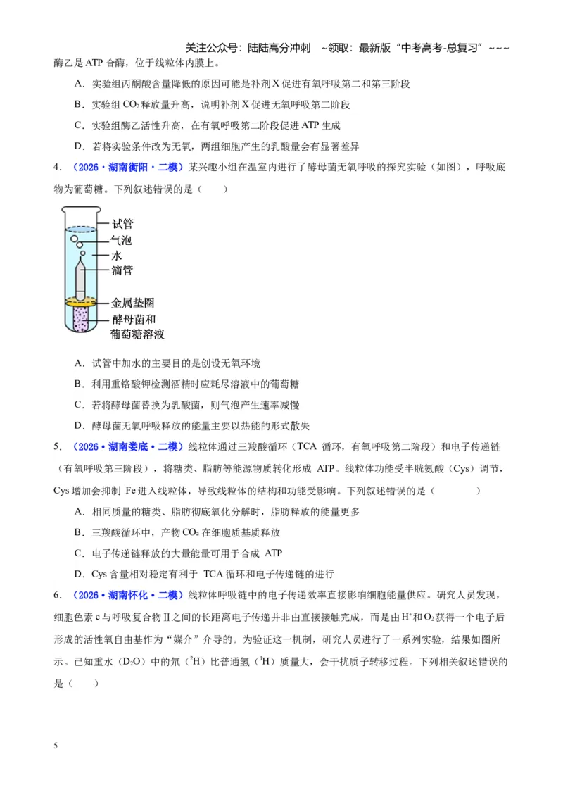《专题02细胞的能量供应和利用（学生版）_06-生物-高考总复习_专项复习_2026年-生物高考专项复习_2026年高考生物二模试题分类汇编（湖南专用）-G292_2026版》第5页预览