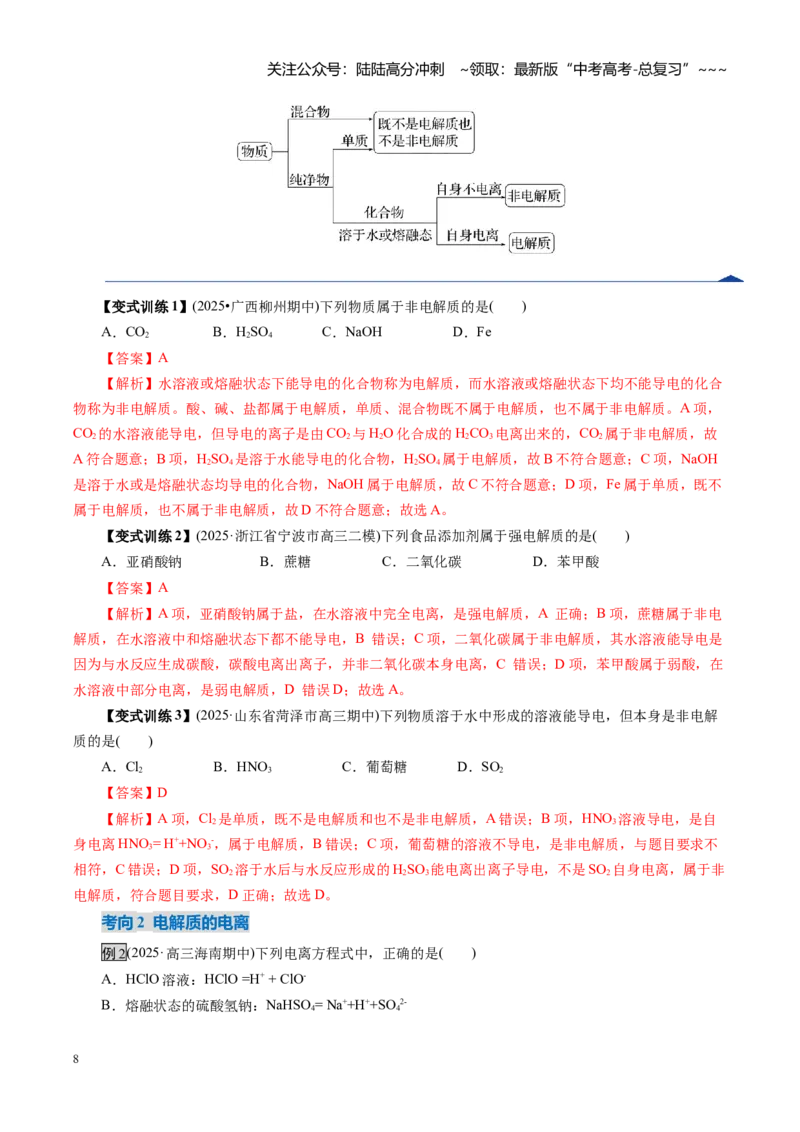 《第02讲离子反应、离子方程式（复习讲义）（全国通用）（教师版）_05-化学-高考总复习_一轮复习_2026年-化学高考一轮复习_2026年高考化学一轮复习讲义+练习+课件（新教材新高考）-G55》第8页预览