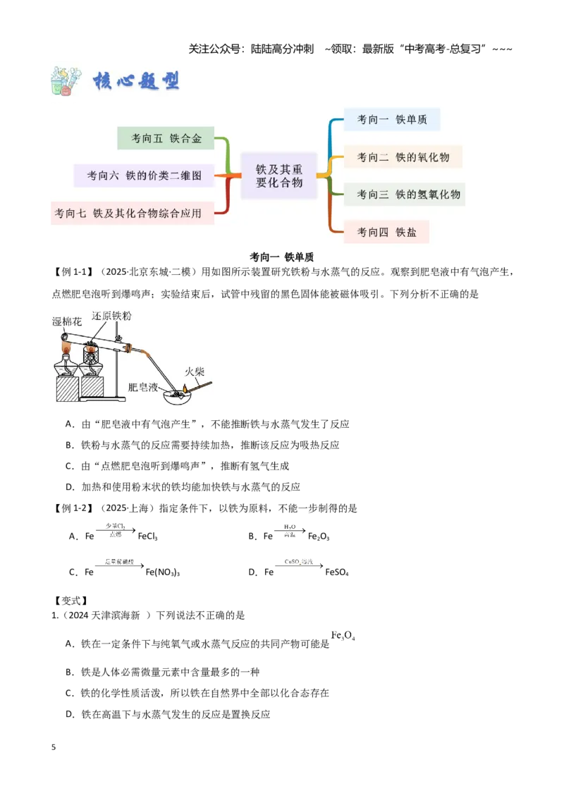 《第06讲铁及其重要化合物-（新高考专用）（学生版）_05-化学-高考总复习_一轮复习_2026年-化学高考一轮复习_2026年新高考化学一轮复习（新高考专用）-G413_资料》第5页预览