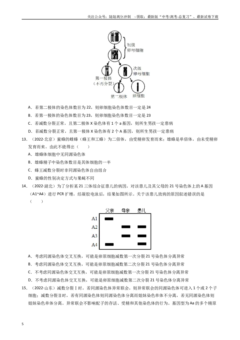 《专题06基因与染色体的关系（原卷版）_06-生物-高考总复习_专项复习_2025年_五年2020-2024高考真题分类汇编生物真题分类汇编（全国通用）》第5页预览