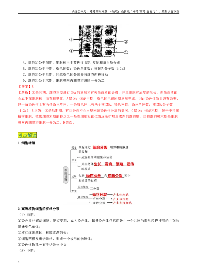 《专题04细胞的生命历程-（新高考通用）（教师版）_06-生物-高考总复习_专项复习_2025年_2025年高考生物真题题源解密（新高考通用）》第3页预览
