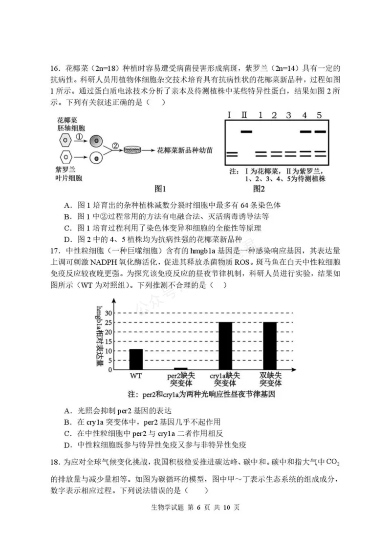 《高三生物学试卷_小初高学习资料合集（每天更新）_湖北开学考湖北武汉部分高中2026-2027学年上学期高三开学考全科_06生物_湖北武汉部分高中2026-2027学年上学期高三开学考》第6页预览