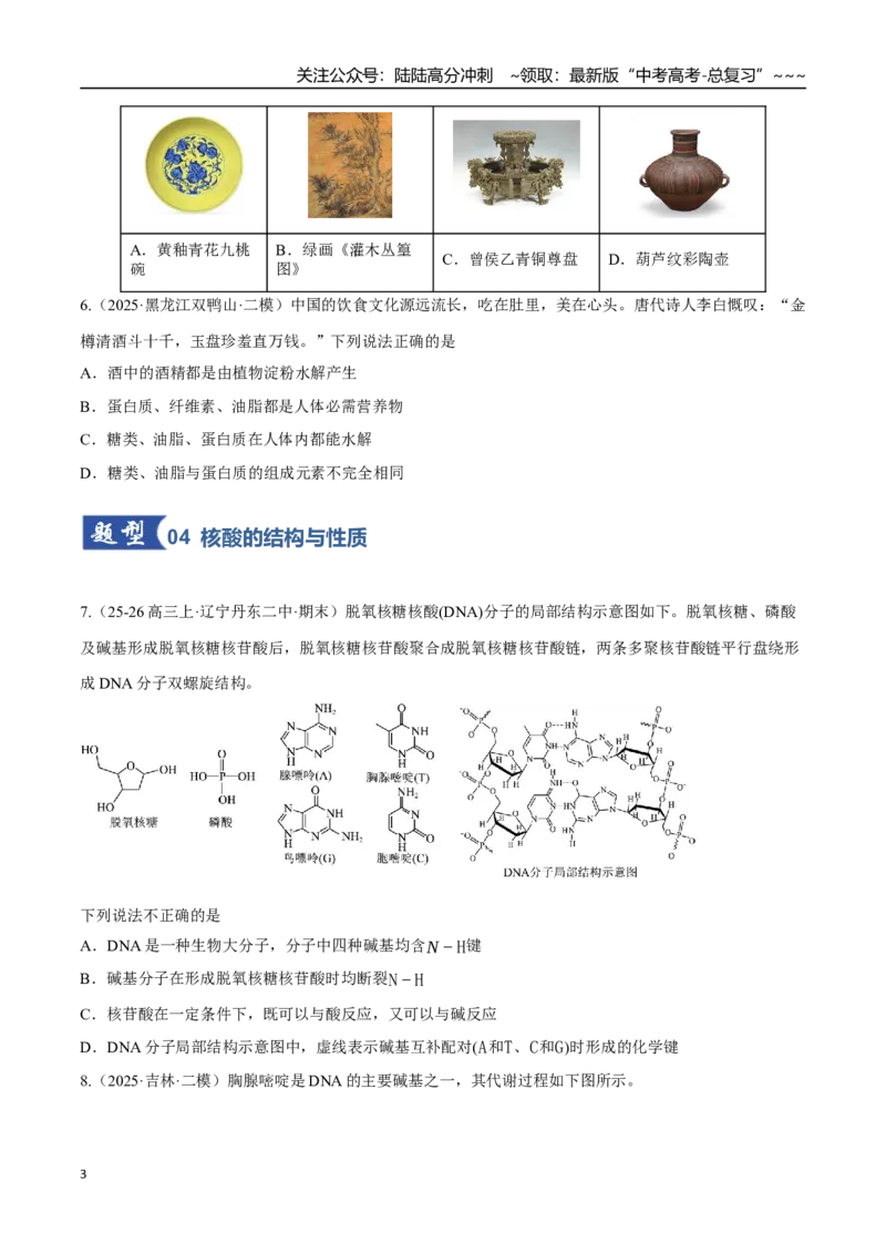 《第04讲生物大分子、合成高分子（专项训练）（黑吉辽蒙专用）（学生版）_05-化学-高考总复习_一轮复习_2026年-化学高考一轮复习_2026年高考化学一轮课件+讲义+练习（黑吉辽蒙专用）-G330》第3页预览