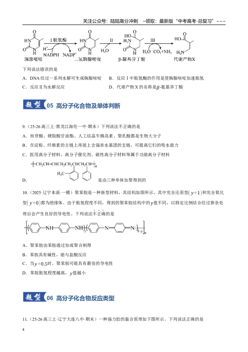 《第04讲生物大分子、合成高分子（专项训练）（黑吉辽蒙专用）（学生版）_05-化学-高考总复习_一轮复习_2026年-化学高考一轮复习_2026年高考化学一轮课件+讲义+练习（黑吉辽蒙专用）-G330》第4页预览
