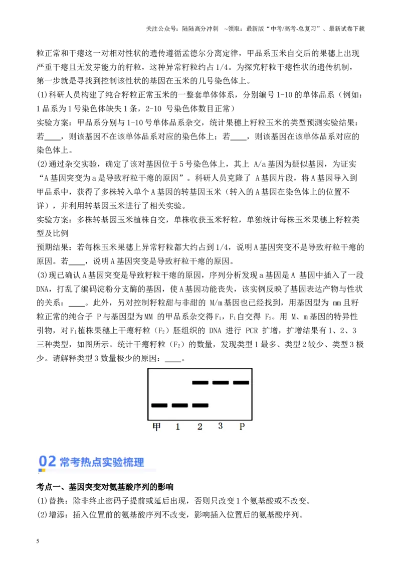 《专题04生物变异类型的判断（原卷版）_06-生物-高考总复习_专项复习_2024年_2024年高考生物热点实验分析预测题型归纳重难讲解_资料》第5页预览