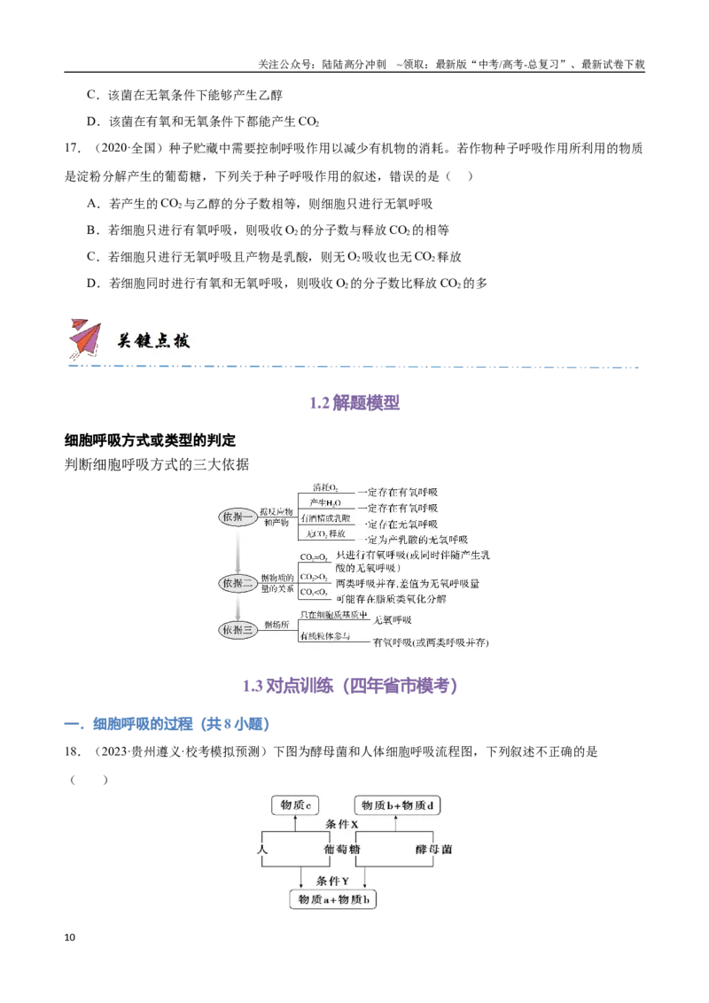 《专题05细胞的能量供应和利用（学生版）_06-生物-高考总复习_专项复习_2024年_2024年高考生物总复习核心题型解读与全攻略新教材_资料》第10页预览