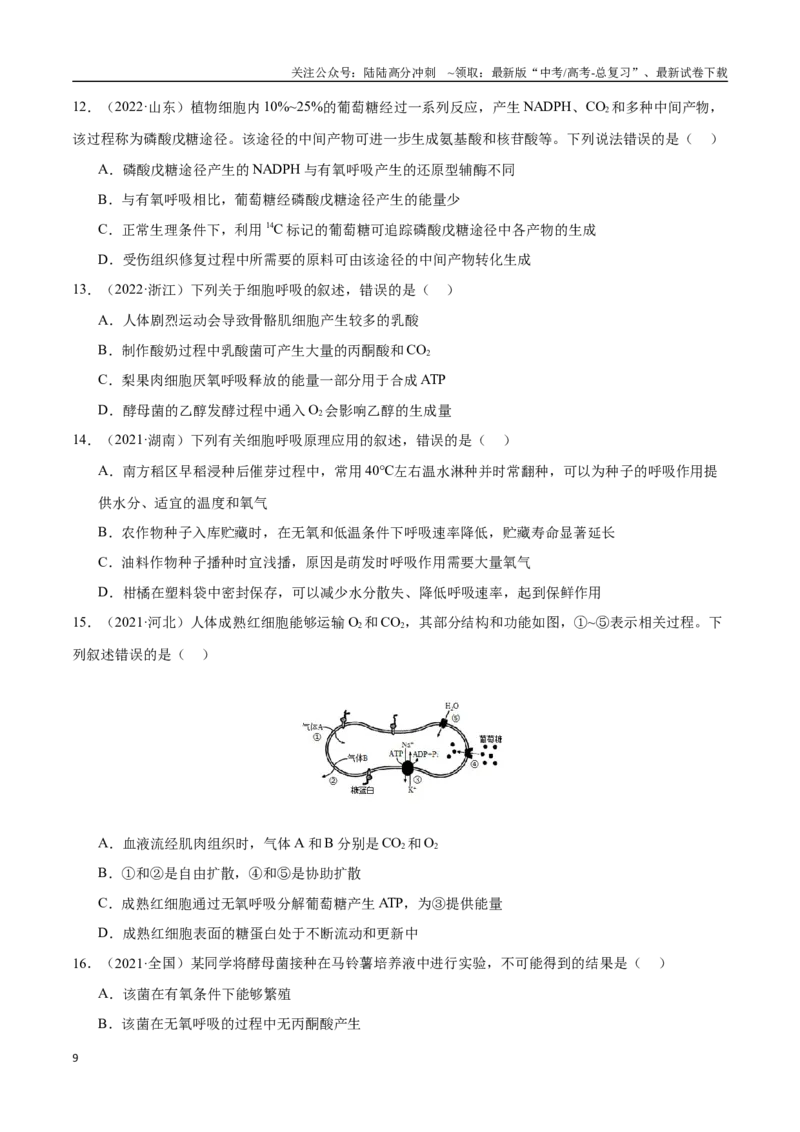 《专题05细胞的能量供应和利用（学生版）_06-生物-高考总复习_专项复习_2024年_2024年高考生物总复习核心题型解读与全攻略新教材_资料》第9页预览