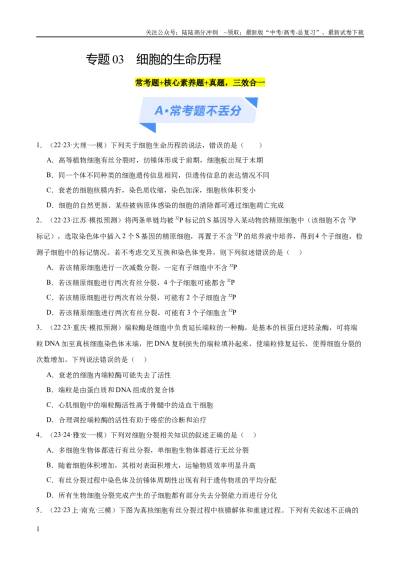 《专题03细胞的生命历程（分层练）（原卷版）_06-生物-高考总复习_二轮复习_2024年_2024年高考生物二轮复习高频考点追踪与预测（新高考专用）_分层练》第1页预览