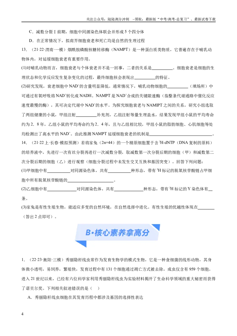 《专题03细胞的生命历程（分层练）（原卷版）_06-生物-高考总复习_二轮复习_2024年_2024年高考生物二轮复习高频考点追踪与预测（新高考专用）_分层练》第4页预览