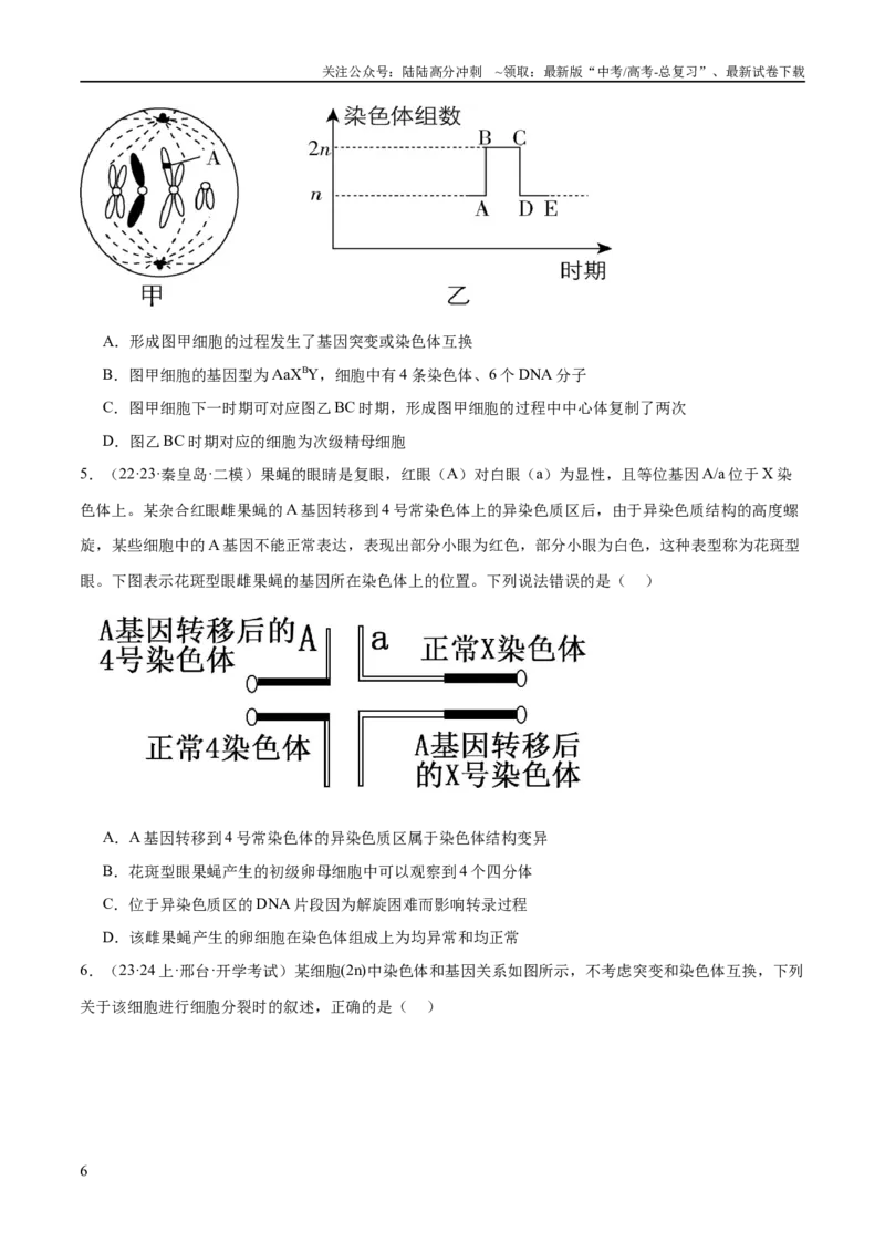 《专题03细胞的生命历程（分层练）（原卷版）_06-生物-高考总复习_二轮复习_2024年_2024年高考生物二轮复习高频考点追踪与预测（新高考专用）_分层练》第6页预览