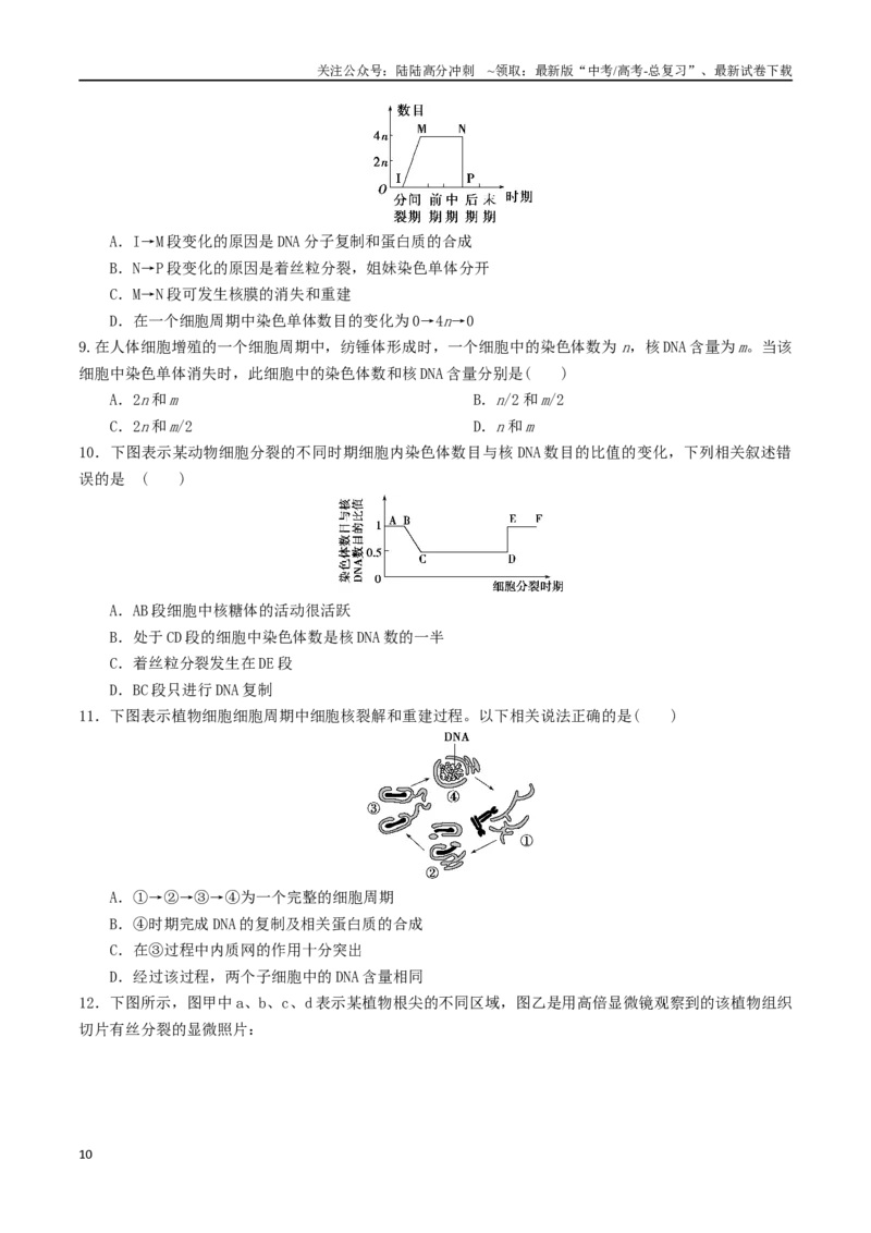 《专题04细胞分裂与生命历程（原卷版）_06-生物-高考总复习_二轮复习_2024年_2024年高考生物二轮复习考点归纳与解题策略新高考_资料》第10页预览