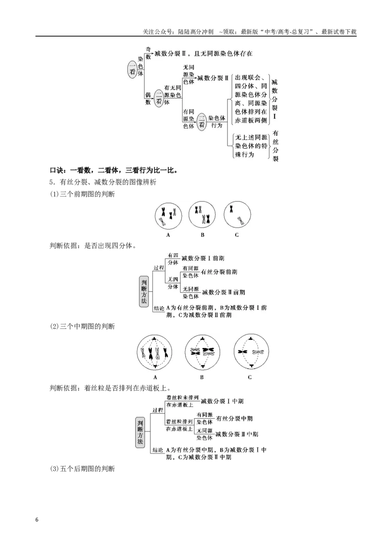 《专题04细胞分裂与生命历程（原卷版）_06-生物-高考总复习_二轮复习_2024年_2024年高考生物二轮复习考点归纳与解题策略新高考_资料》第6页预览