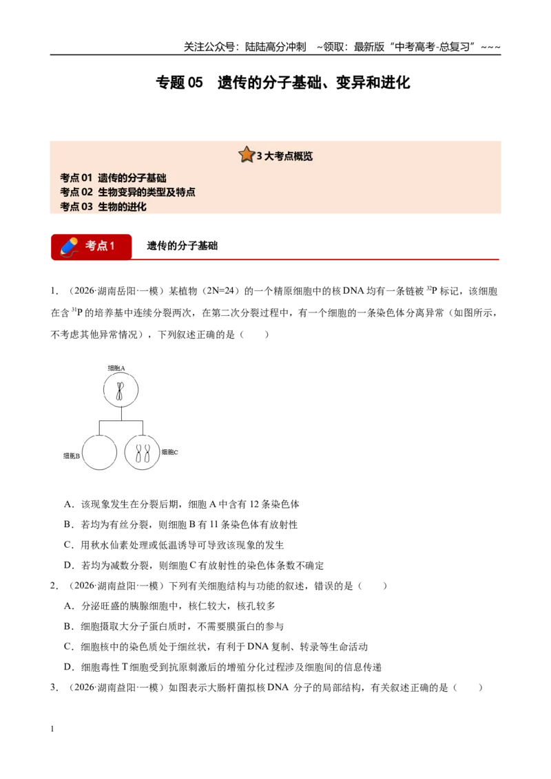 《专题05遗传的分子基础、变异和进化（3大考点）（学生版）_06-生物-高考总复习_专项复习_2026年-生物高考专项复习_2026年高考生物一模试题分类汇编（湖南专用）-G236_2026版》第1页预览