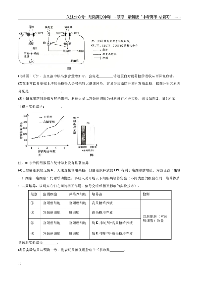 《专题05遗传的分子基础、变异和进化（3大考点）（学生版）_06-生物-高考总复习_专项复习_2026年-生物高考专项复习_2026年高考生物一模试题分类汇编（湖南专用）-G236_2026版》第10页预览