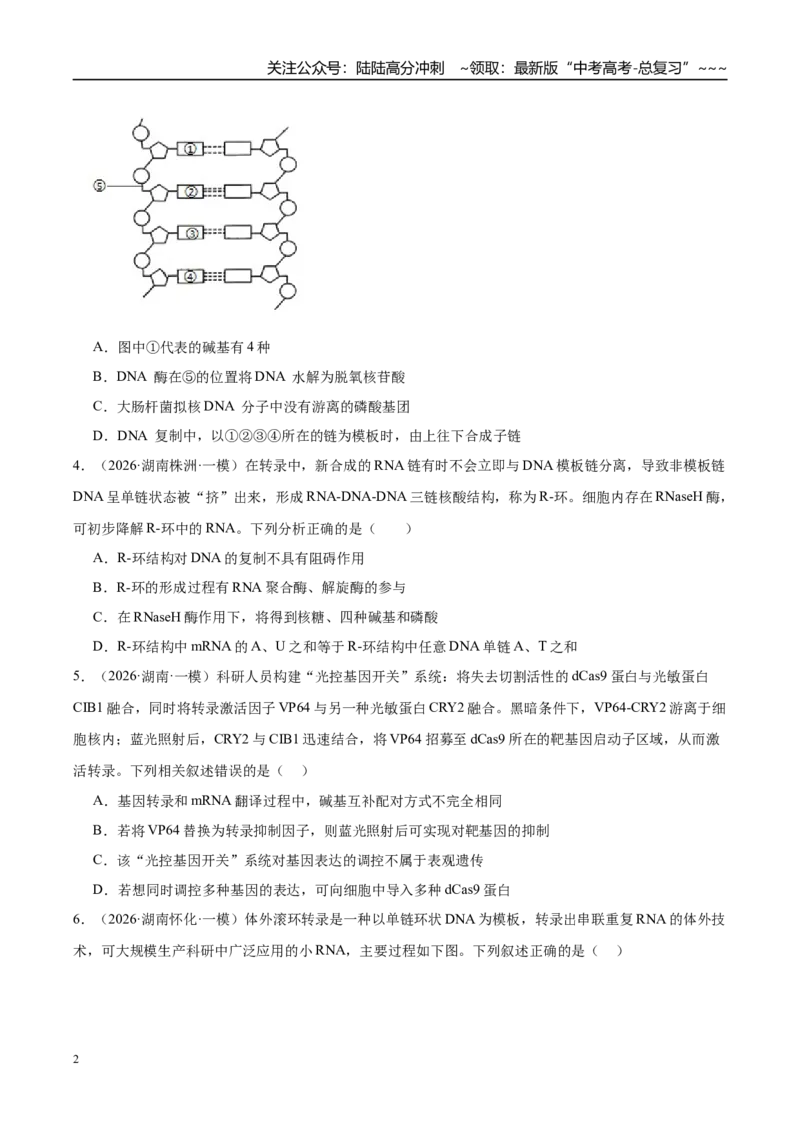《专题05遗传的分子基础、变异和进化（3大考点）（学生版）_06-生物-高考总复习_专项复习_2026年-生物高考专项复习_2026年高考生物一模试题分类汇编（湖南专用）-G236_2026版》第2页预览