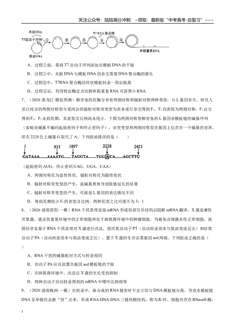 《专题05遗传的分子基础、变异和进化（3大考点）（学生版）_06-生物-高考总复习_专项复习_2026年-生物高考专项复习_2026年高考生物一模试题分类汇编（湖南专用）-G236_2026版》第3页预览
