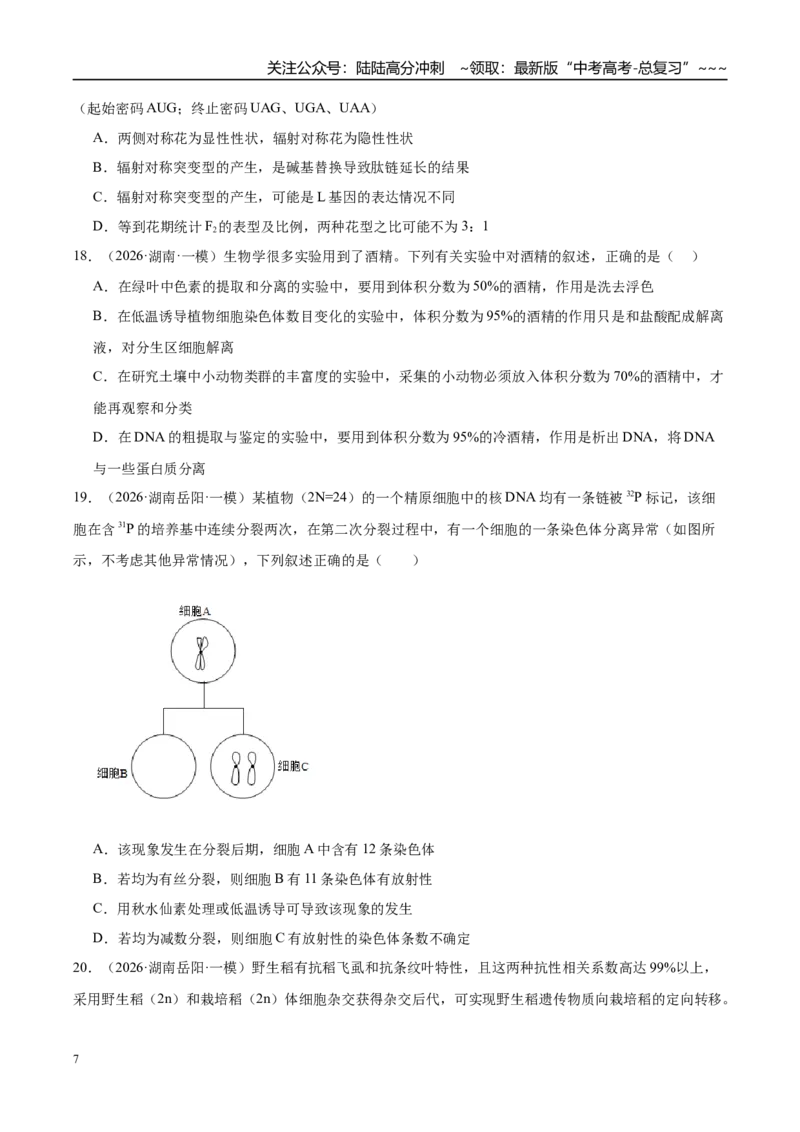 《专题05遗传的分子基础、变异和进化（3大考点）（学生版）_06-生物-高考总复习_专项复习_2026年-生物高考专项复习_2026年高考生物一模试题分类汇编（湖南专用）-G236_2026版》第7页预览