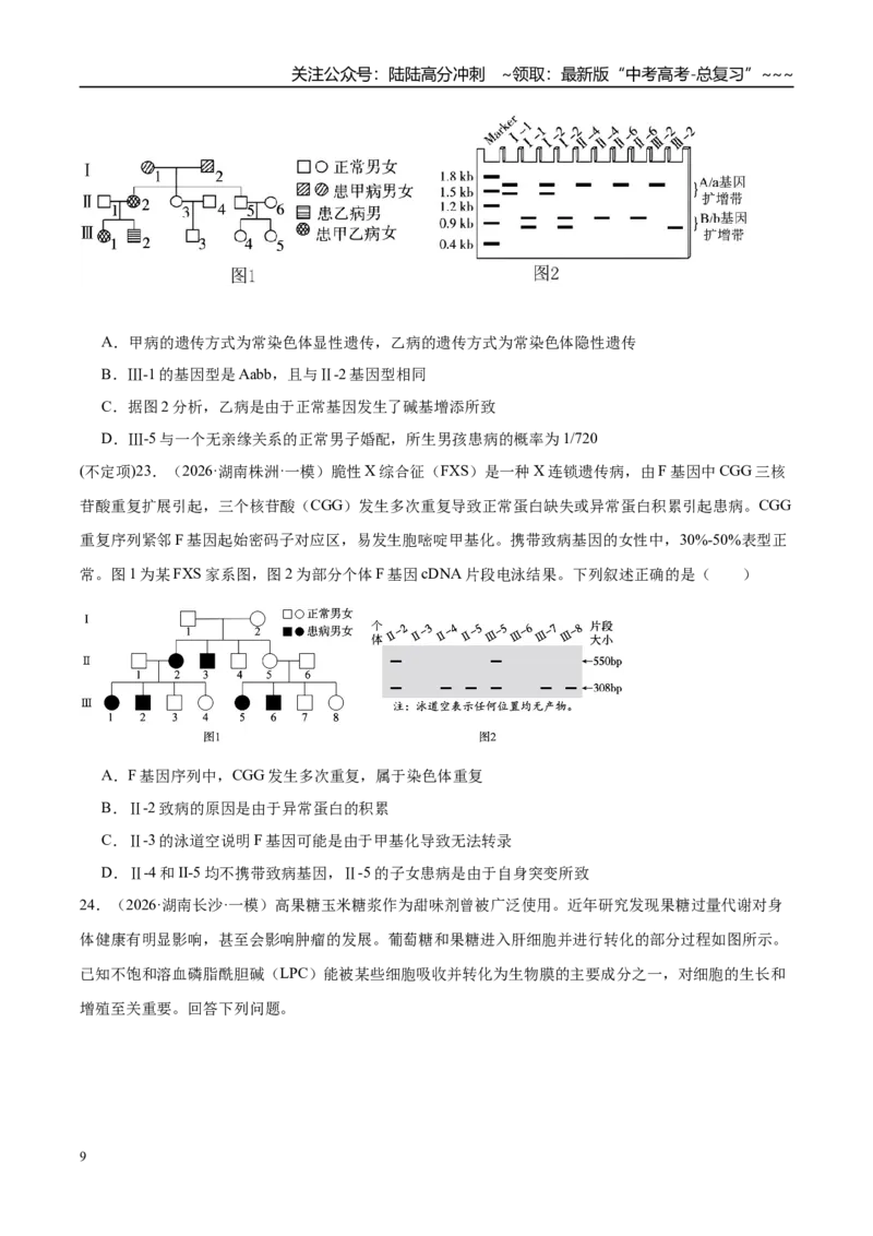 《专题05遗传的分子基础、变异和进化（3大考点）（学生版）_06-生物-高考总复习_专项复习_2026年-生物高考专项复习_2026年高考生物一模试题分类汇编（湖南专用）-G236_2026版》第9页预览