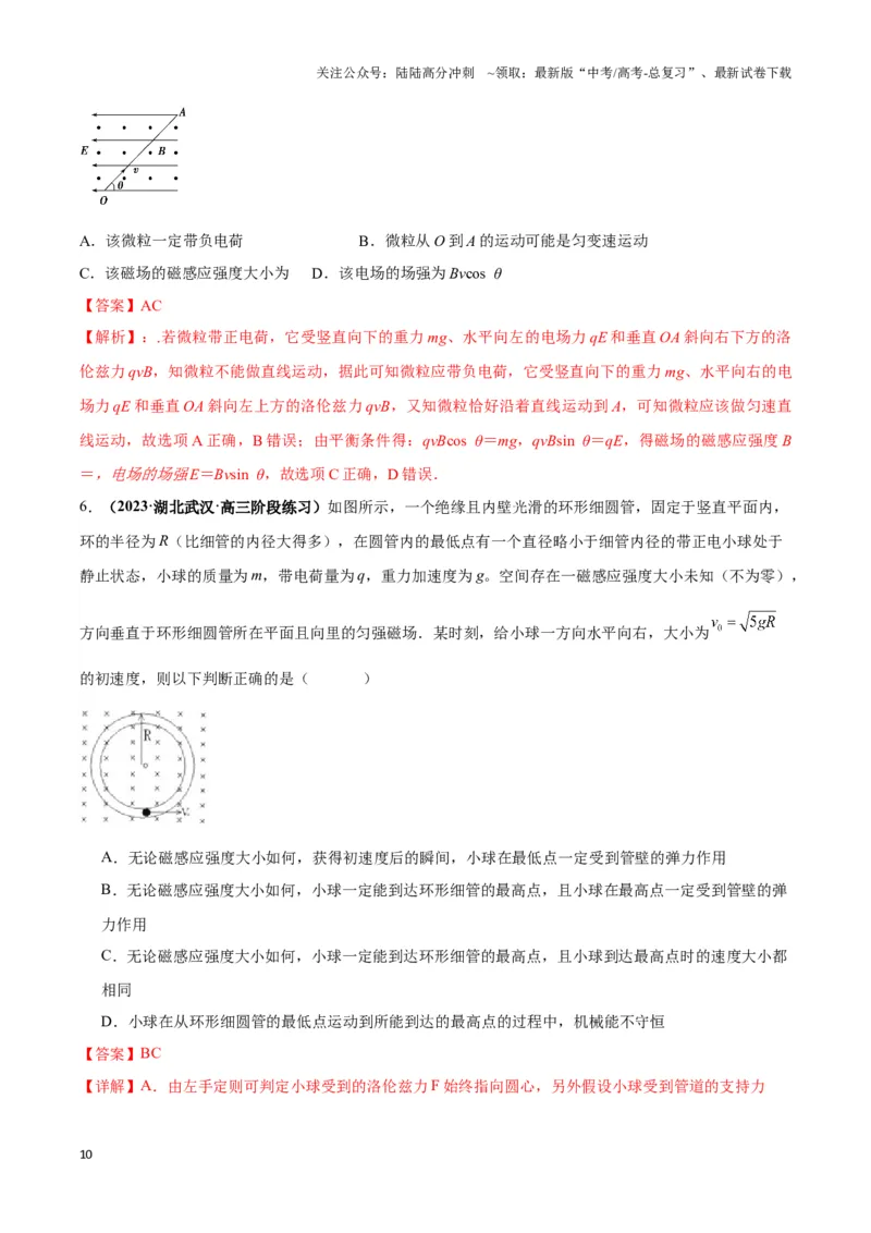 《专题05带电粒子在叠加场中运动模型（教师版）_04-物理-高考总复习_专项复习_2025年_2025年高中高考物理模型与方法_资料_3高中（全册）_选择性必修第二册》第10页预览