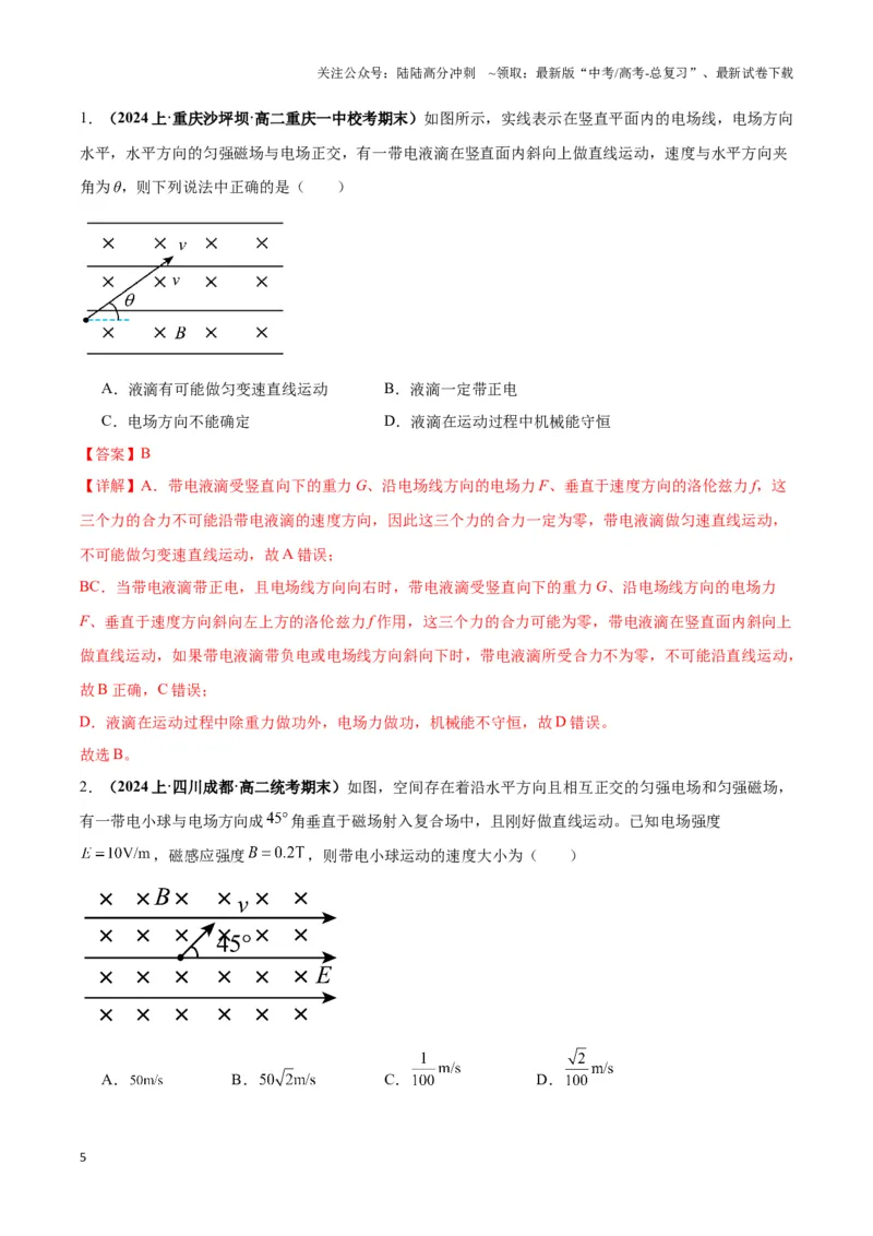 《专题05带电粒子在叠加场中运动模型（教师版）_04-物理-高考总复习_专项复习_2025年_2025年高中高考物理模型与方法_资料_3高中（全册）_选择性必修第二册》第5页预览