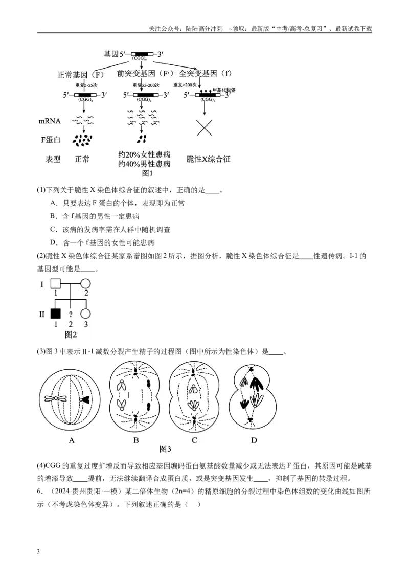 《专题05细胞的生命历程（原卷版）_06-生物-高考总复习_专项复习_2025年_2024年高考一模试题分类汇编生物新高考通用》第3页预览