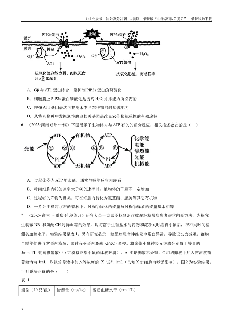 《专题03酶与ATP（原卷版）_06-生物-高考总复习_专项复习_2024年_2024年高考生物重难压轴题型考前终极押题_资料》第3页预览