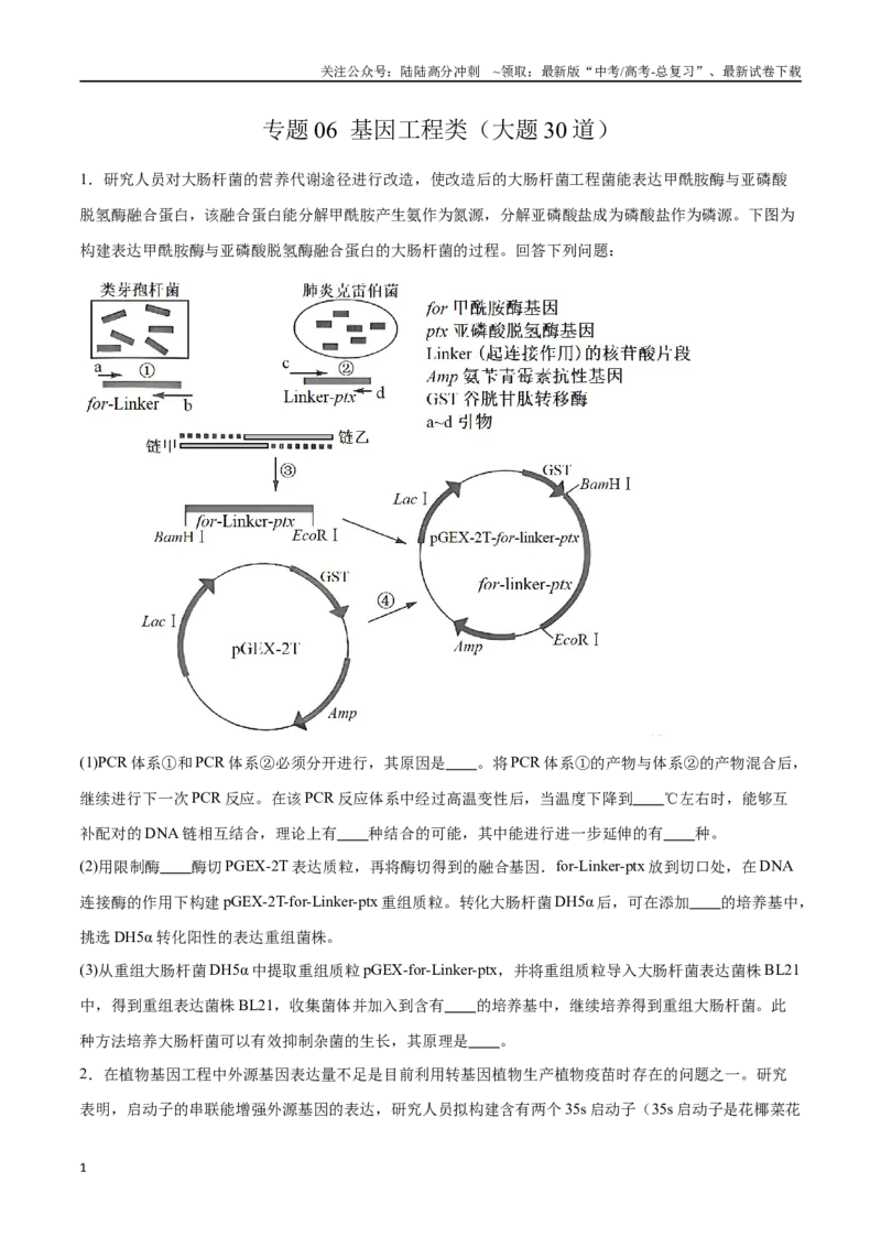 《专题06基因工程类（大题30道）（原卷版）_06-生物-高考总复习_二轮复习_2024年_2024年高考生物二轮复习选择题大题压轴专项训练_资料》第1页预览