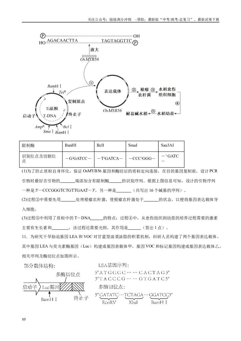《专题06基因工程类（大题30道）（原卷版）_06-生物-高考总复习_二轮复习_2024年_2024年高考生物二轮复习选择题大题压轴专项训练_资料》第10页预览