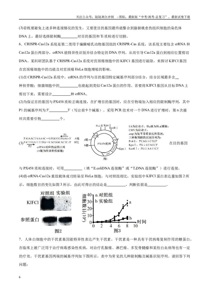 《专题06基因工程类（大题30道）（原卷版）_06-生物-高考总复习_二轮复习_2024年_2024年高考生物二轮复习选择题大题压轴专项训练_资料》第6页预览