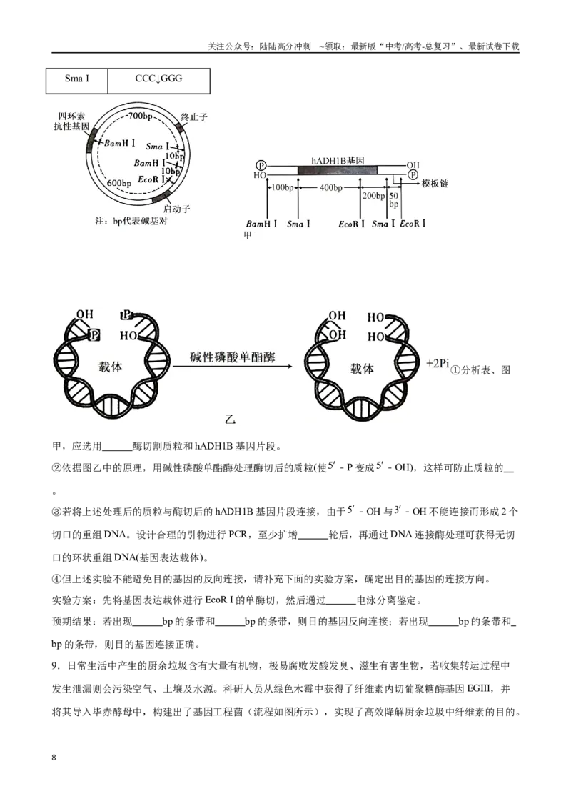 《专题06基因工程类（大题30道）（原卷版）_06-生物-高考总复习_二轮复习_2024年_2024年高考生物二轮复习选择题大题压轴专项训练_资料》第8页预览