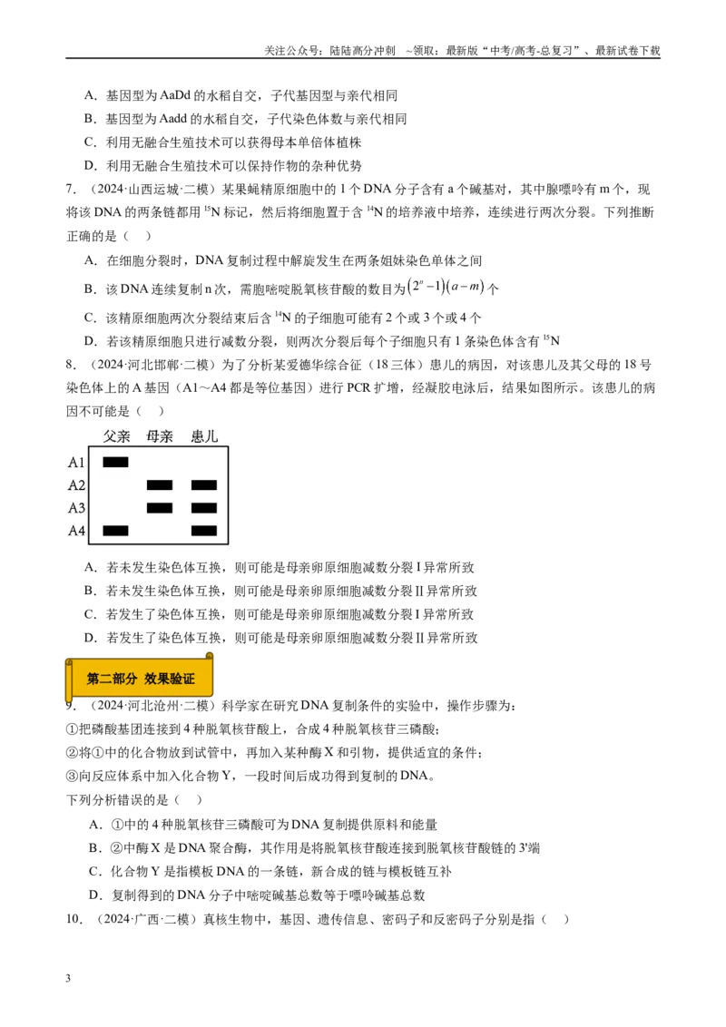 《专题05遗传的分子基础（原卷版）_06-生物-高考总复习_专项复习_2025年_2024年高考二模试题分类汇编生物新高考通用》第3页预览