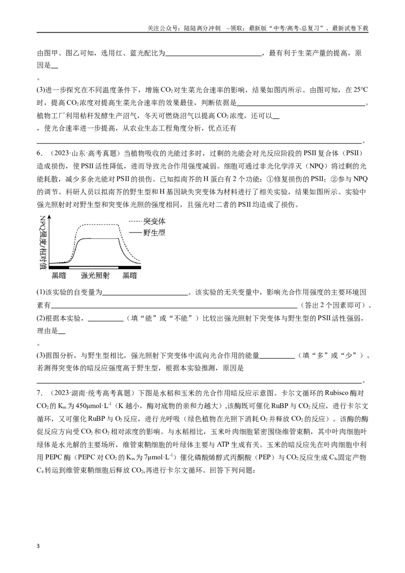 《专题06光合作用（原卷版）_06-生物-高考总复习_专项复习_2024年_2024年新高考生物复习热点考点真题模拟题必刷题练_资料》第3页预览