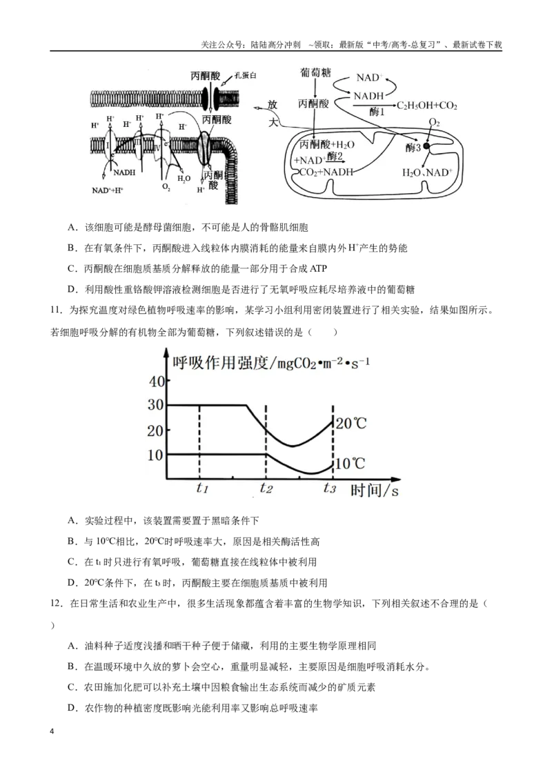《专题04细胞呼吸和光合作用（选择题60道）（原卷版）_06-生物-高考总复习_二轮复习_2024年_2024年高考生物二轮复习选择题大题压轴专项训练_资料》第4页预览