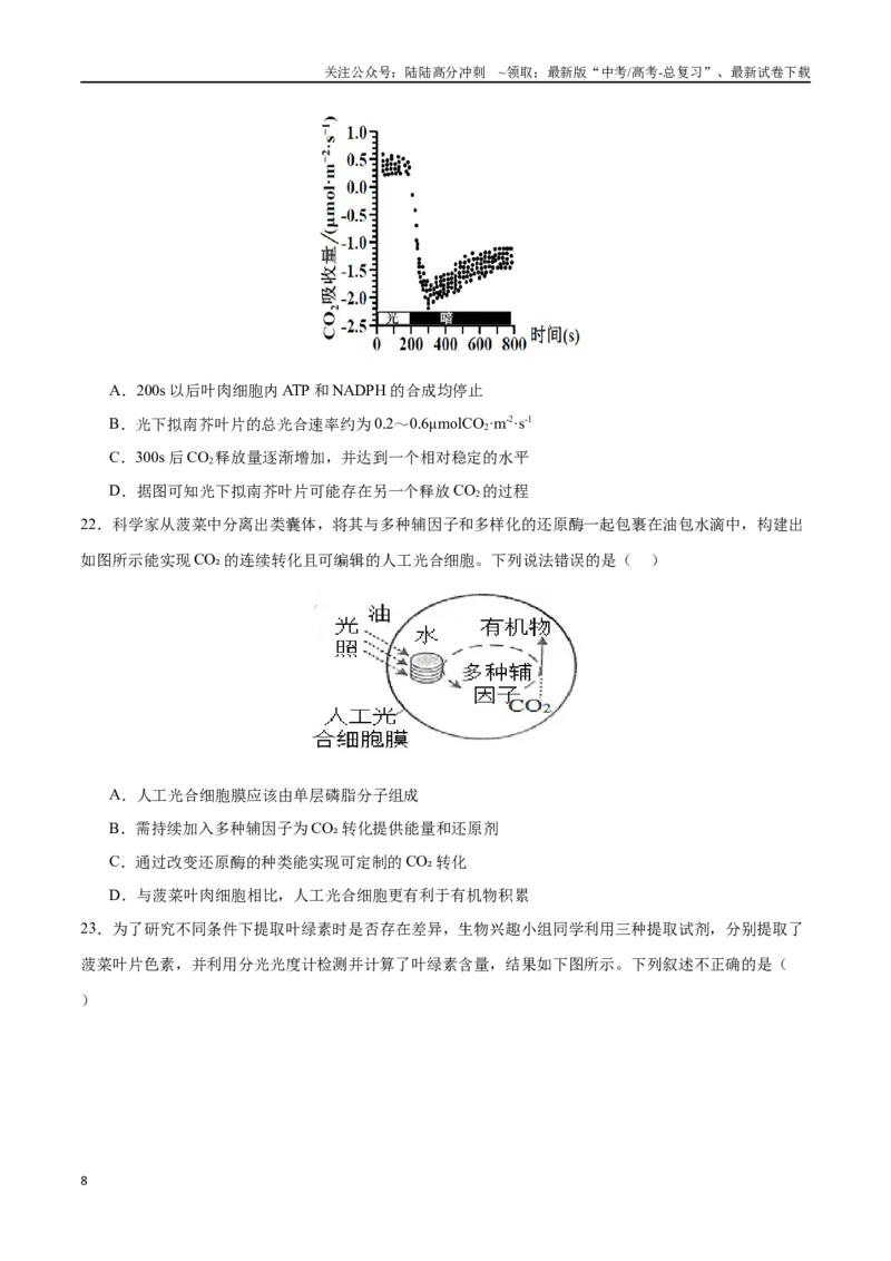 《专题04细胞呼吸和光合作用（选择题60道）（原卷版）_06-生物-高考总复习_二轮复习_2024年_2024年高考生物二轮复习选择题大题压轴专项训练_资料》第8页预览