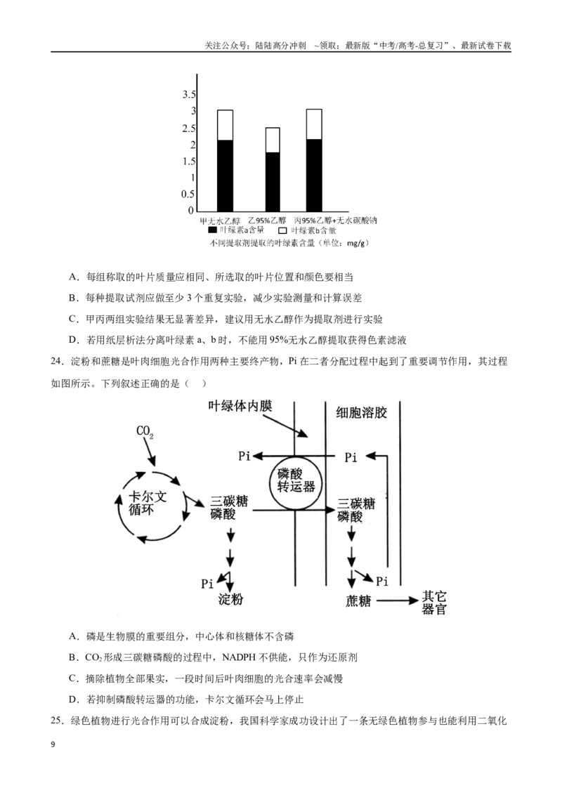 《专题04细胞呼吸和光合作用（选择题60道）（原卷版）_06-生物-高考总复习_二轮复习_2024年_2024年高考生物二轮复习选择题大题压轴专项训练_资料》第9页预览