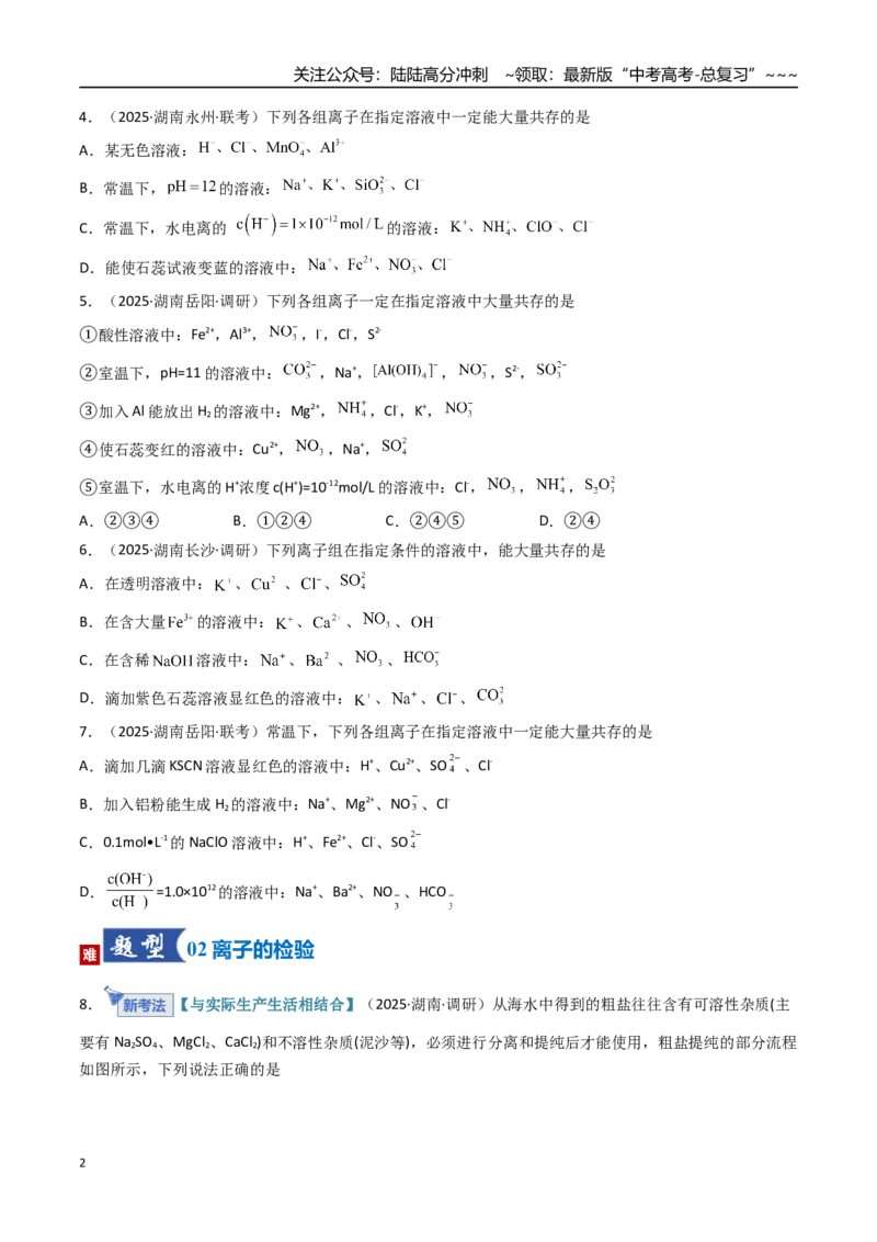 《第03讲离子共存、离子的检验与推断（专项训练）（湖南专用）（学生版）_05-化学-高考总复习_一轮复习_2026年-化学高考一轮复习_2026年高考化学一轮课件+讲义+练习（湖南专用）-G331》第2页预览