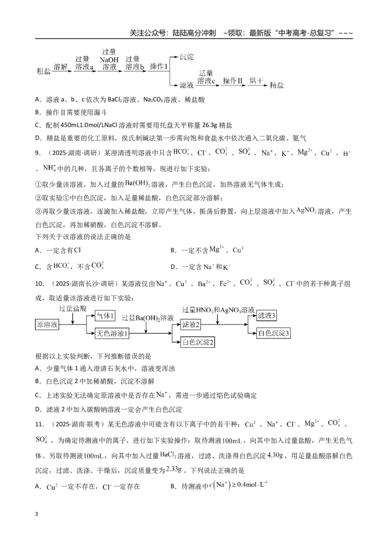 《第03讲离子共存、离子的检验与推断（专项训练）（湖南专用）（学生版）_05-化学-高考总复习_一轮复习_2026年-化学高考一轮复习_2026年高考化学一轮课件+讲义+练习（湖南专用）-G331》第3页预览