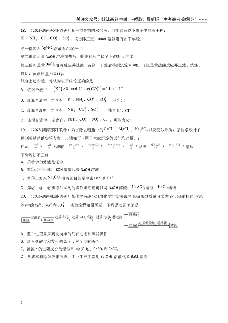《第03讲离子共存、离子的检验与推断（专项训练）（湖南专用）（学生版）_05-化学-高考总复习_一轮复习_2026年-化学高考一轮复习_2026年高考化学一轮课件+讲义+练习（湖南专用）-G331》第6页预览