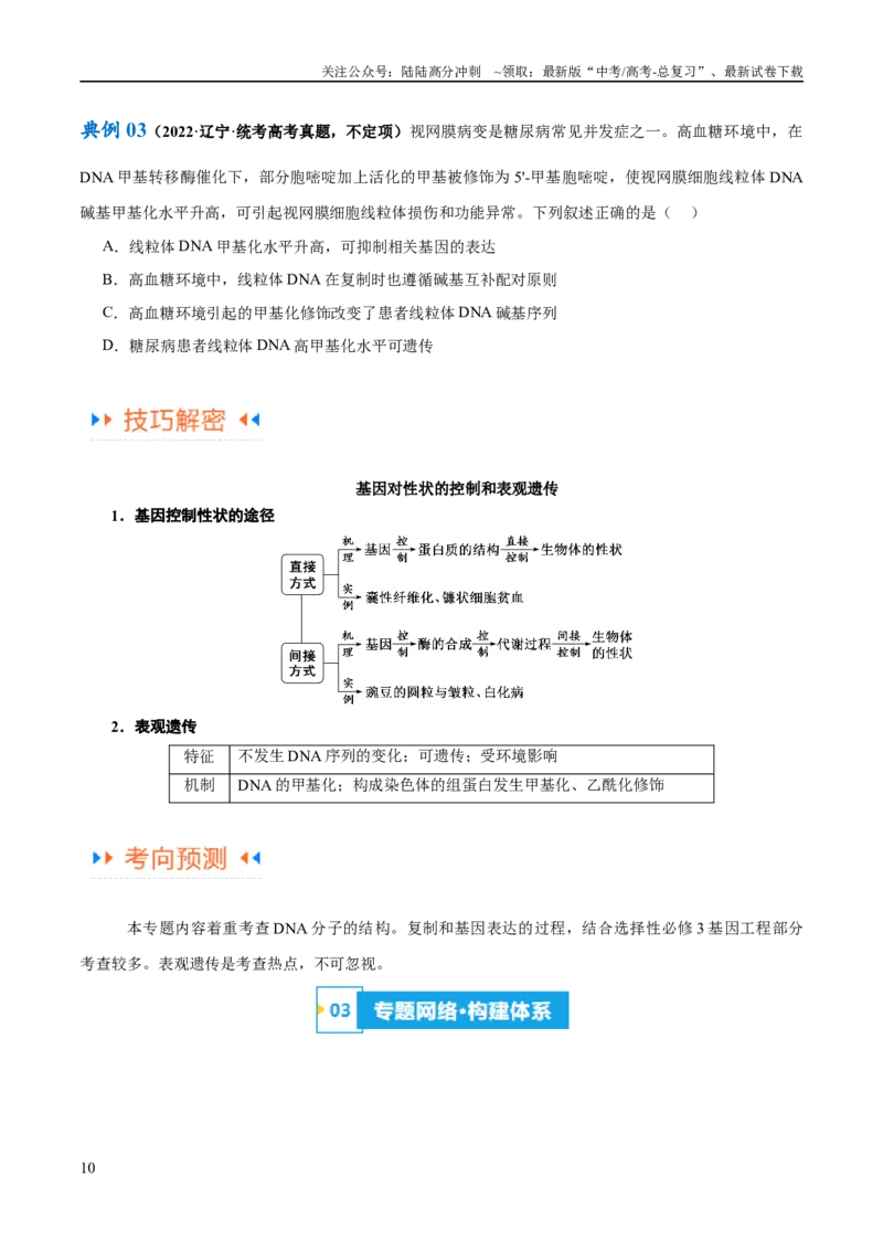 《专题05遗传的分子基础（讲义）（原卷版）_06-生物-高考总复习_二轮复习_2024年_2024年高考生物二轮复习高频考点追踪与预测（新高考专用）_讲义》第10页预览
